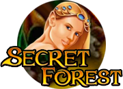 играть в secret forest - тематики